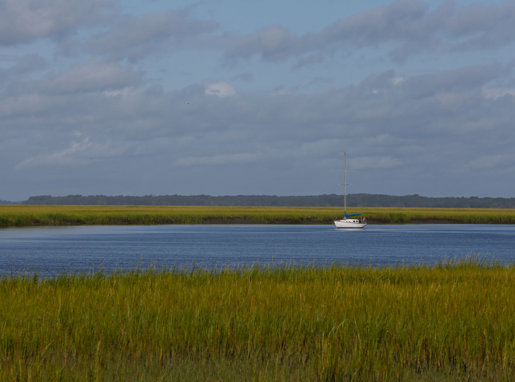 edisto_04.jpg (copy)
